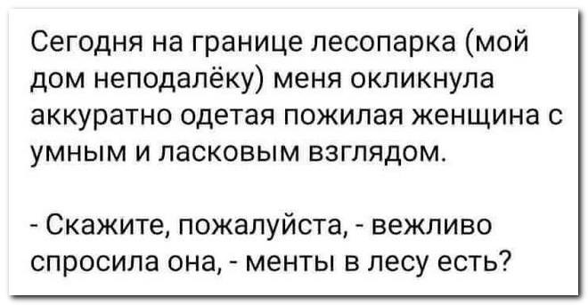 Коронавирусный юмор Коронавирусный юмор