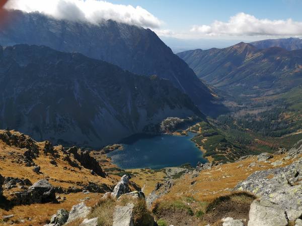 Публикувано изображение