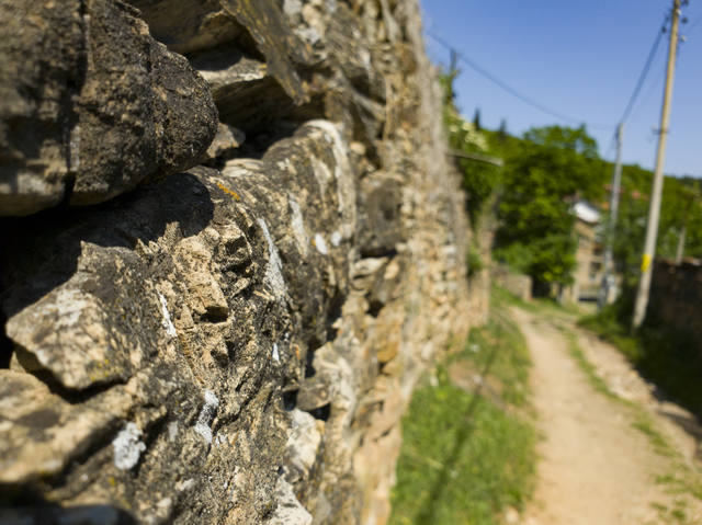 Публикувано изображение