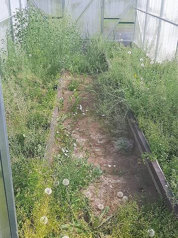 Загородная жизнь - обустройство жизни на своей земле во всем ее разнообразии