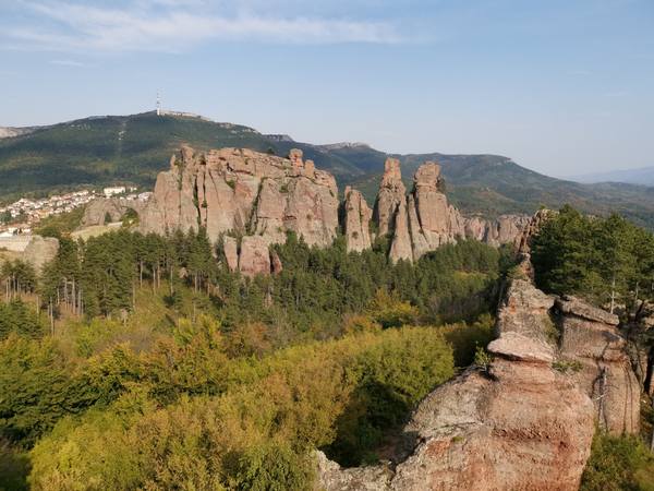 Публикувано изображение