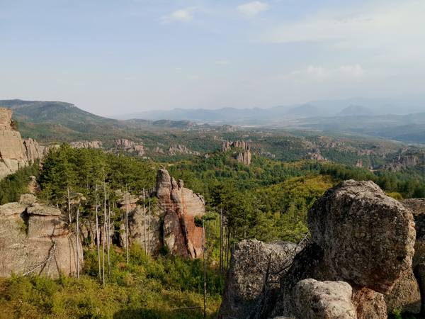 Публикувано изображение