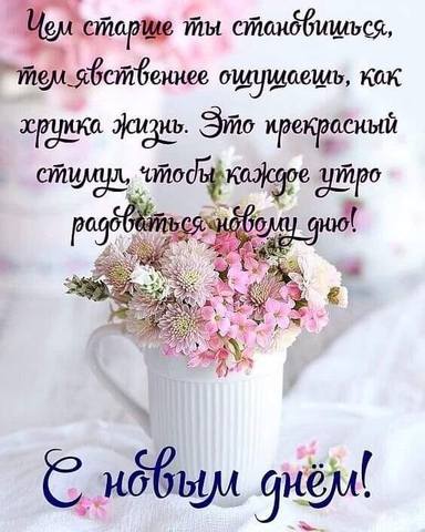 Tapтaлeтки & Ко