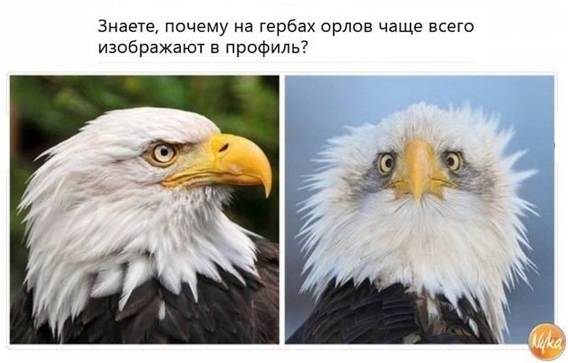 США США