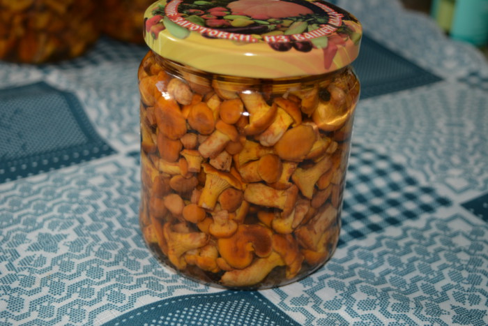 Маринованые лисички с чесноком