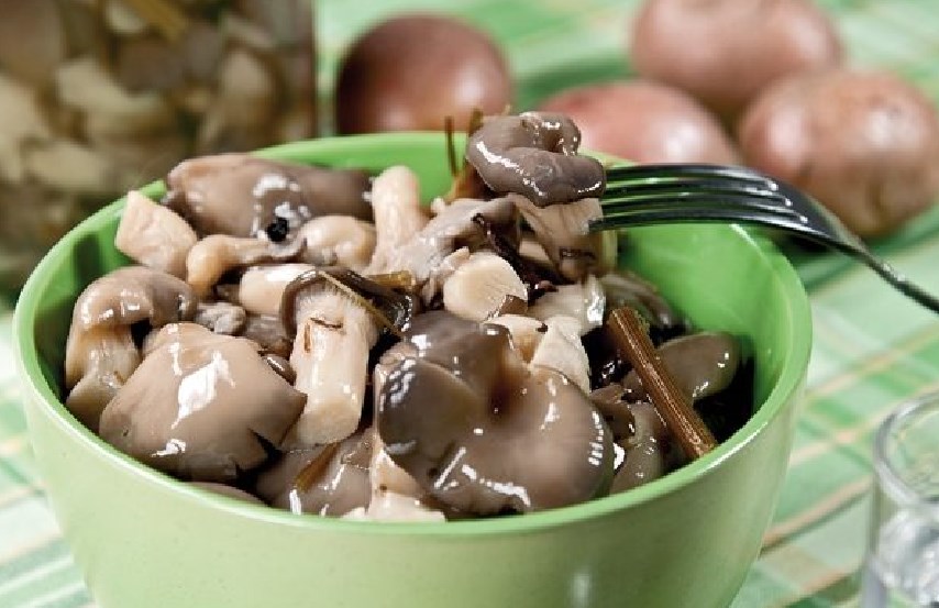 Маринованные вешенки за сутки