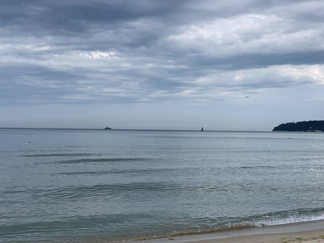 Публикувано изображение