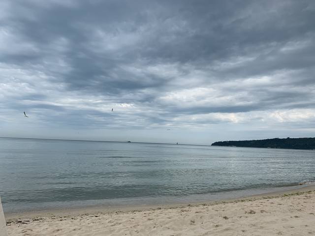 Публикувано изображение