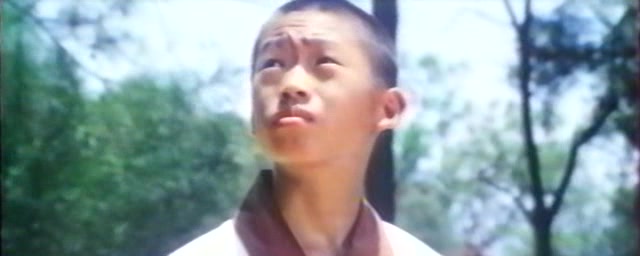 Shao Lin san shi liu ban deng (36 Super-Kids) (1982) 0895