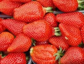АЗИЯ - ранний Зимостойкая, урожайная на крупные удлиненные ягоды, раннего срока созревания, устойчив к болезням.