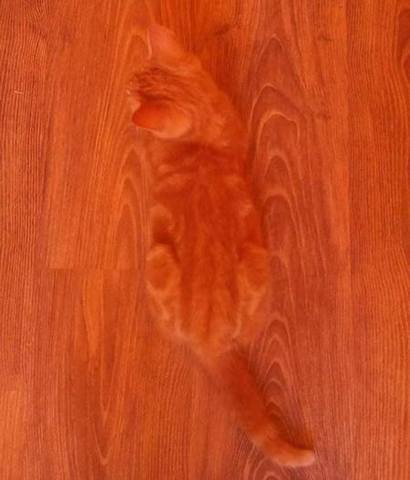 Посмеялся сам - поделись с другом!!!