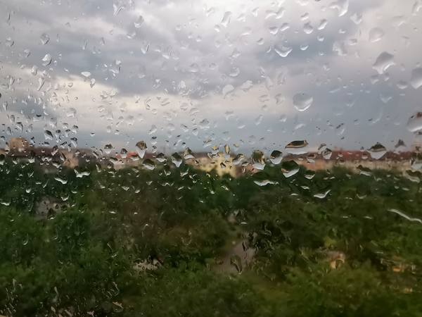 Публикувано изображение