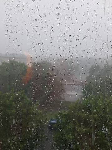 Tapтaлeтки & Ко