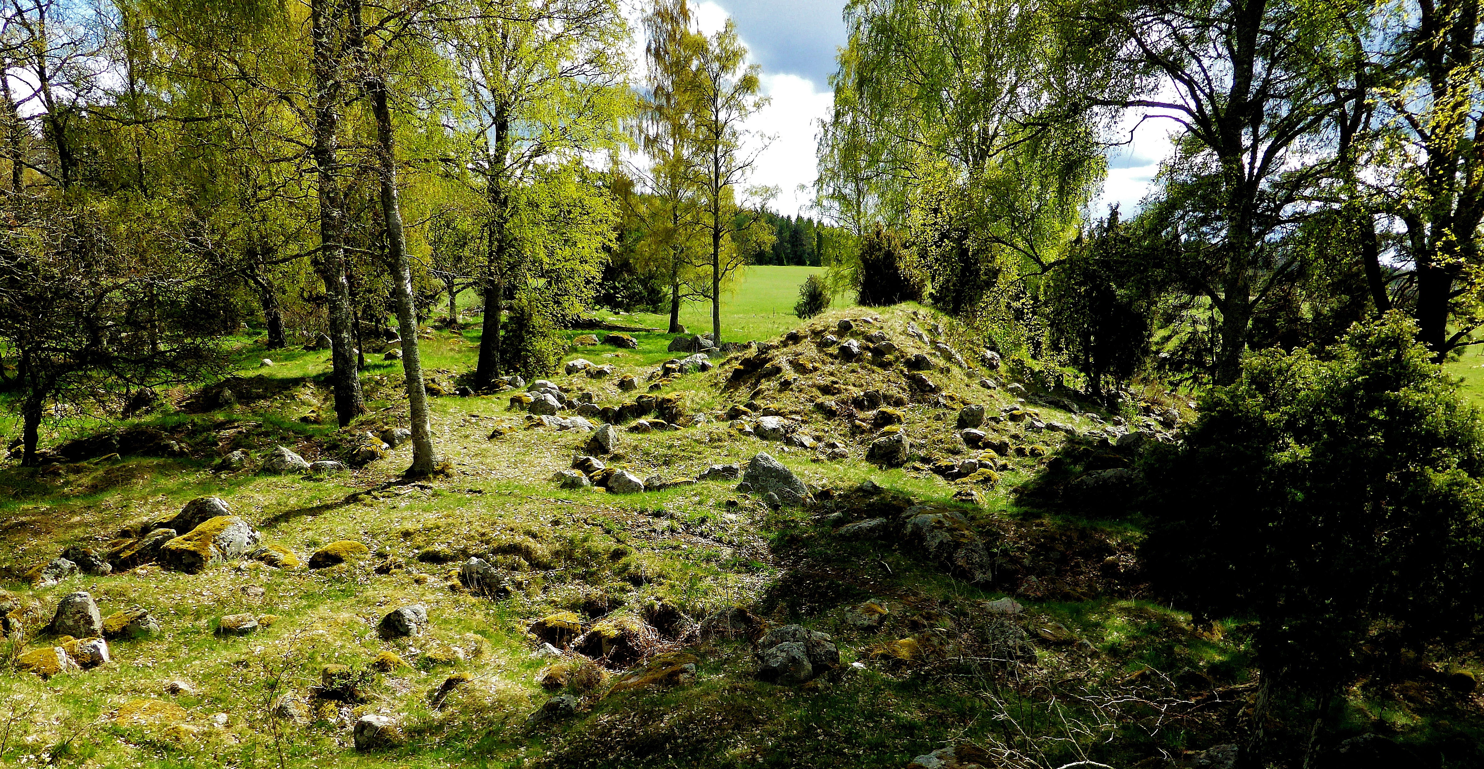 Burial mound (damaged) Rasbo 38-1 Uppland Sweden