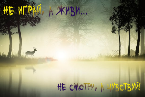 http://images.vfl.ru/ii/1592839812/368394f3/30879119.png