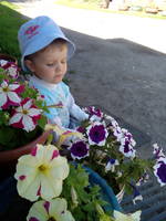 VFL.RU - ваш фотохостинг