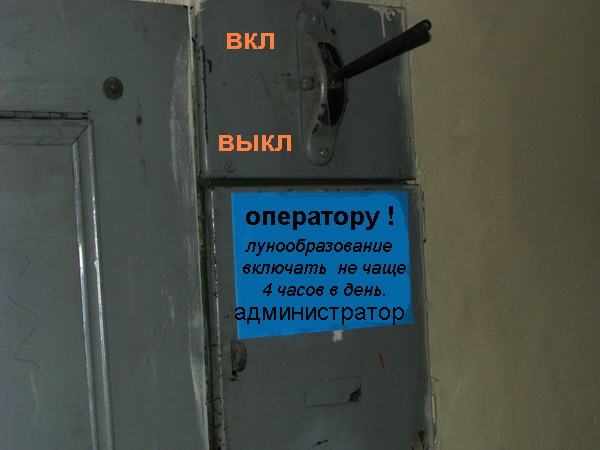 30885706.jpg