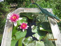 VFL.RU - ваш фотохостинг