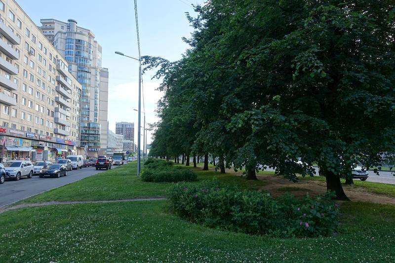 Окраины Петербурга Окраины Петербурга