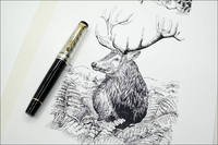 VFL.RU - ваш фотохостинг