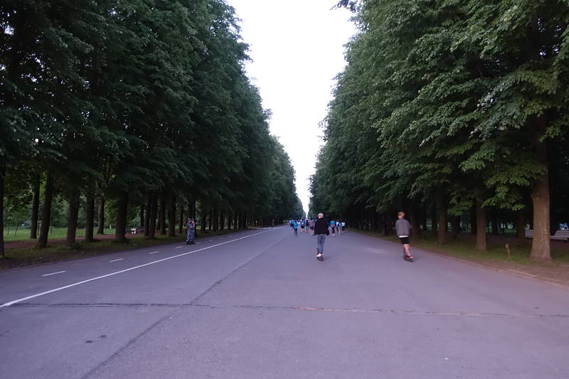 Лебяжий остров Лебяжий остров