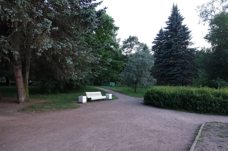 Лебяжий остров Лебяжий остров