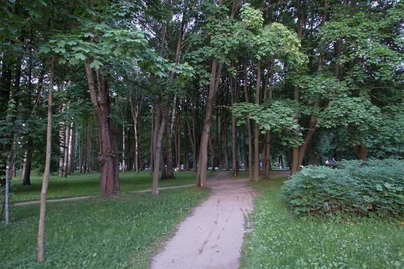 Лебяжий остров Лебяжий остров