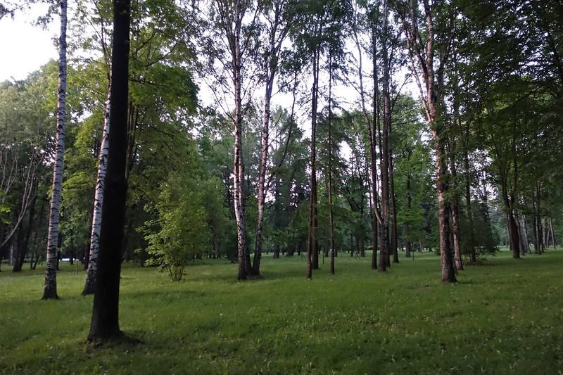 Лебяжий остров Лебяжий остров