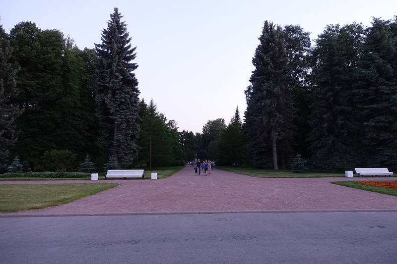 Лебяжий остров Лебяжий остров