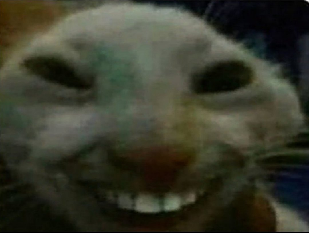 30944767.jpg