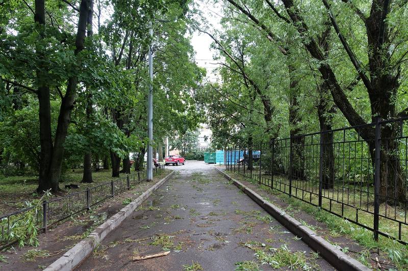 Голосование по поправкам в Конституцию Голосование по поправкам в Конституцию