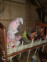 VFL.RU - ваш фотохостинг