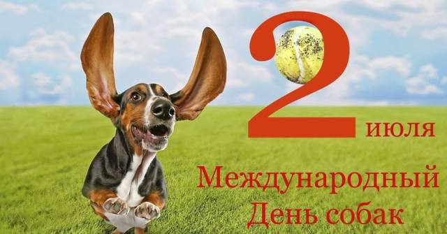 Человек собаке друг!!!