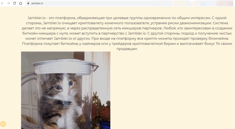30985211.png