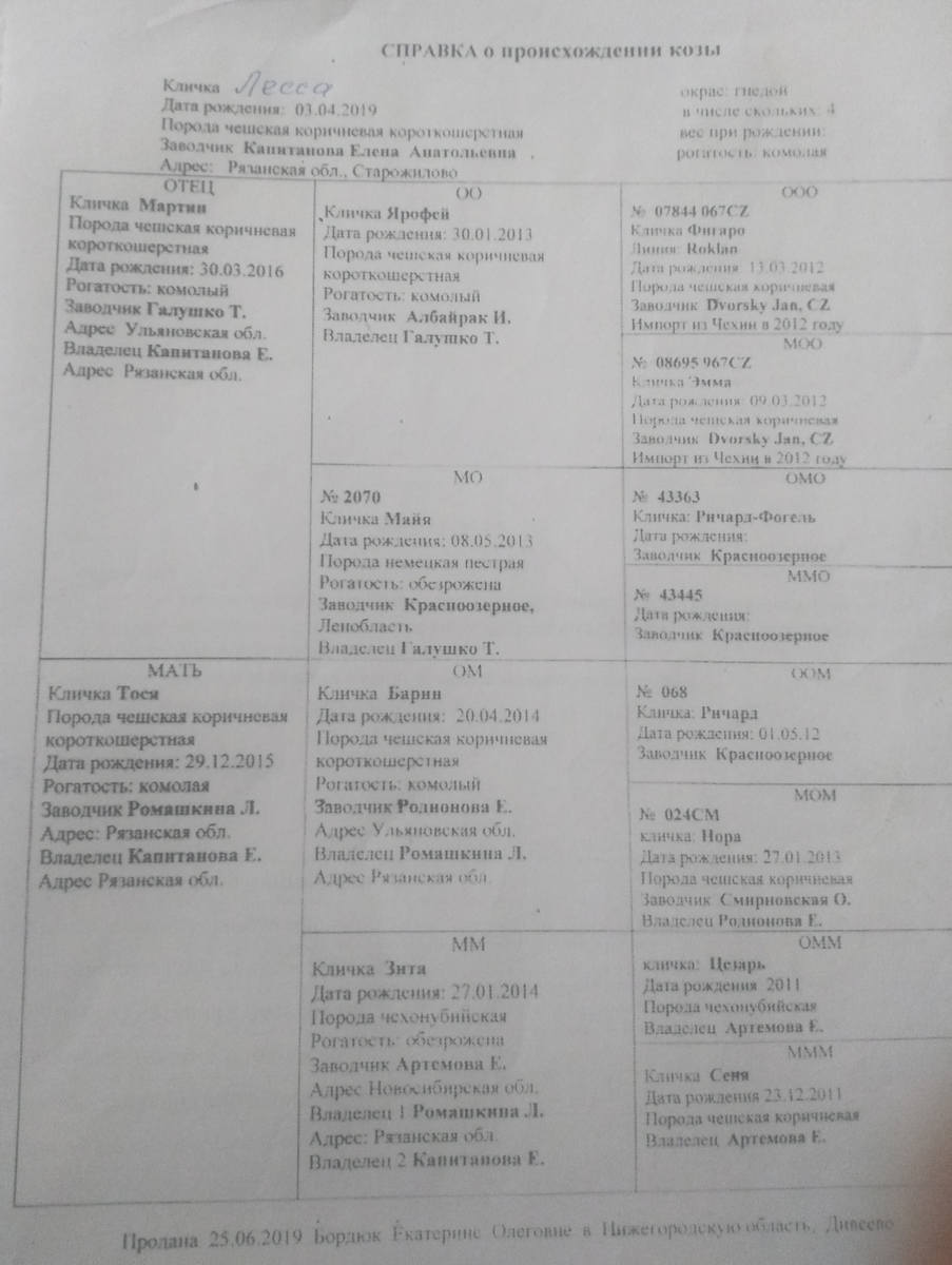 Лесса род ЛПХ Цветущая долина