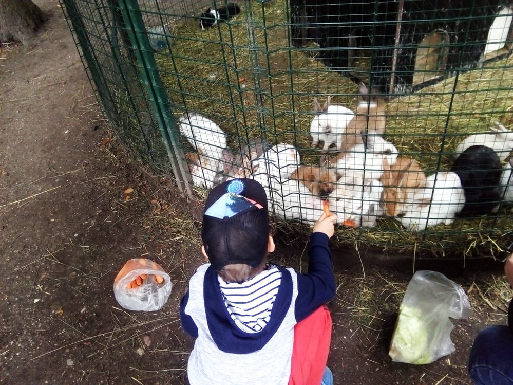 Калининград - Зеленоградск - Светлогорск - Янтарный, музеи и лучшие кафе