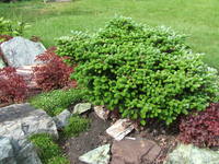 VFL.RU - ваш фотохостинг