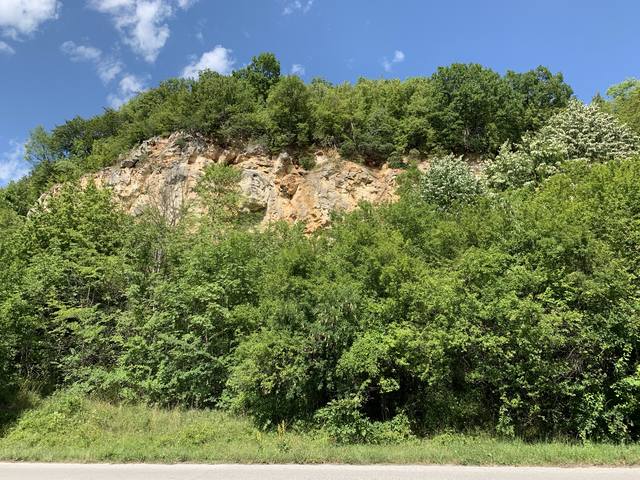 Публикувано изображение