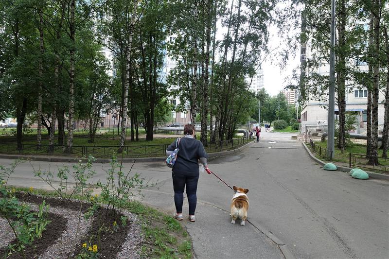 Петербург и шаверма Петербург и шаверма