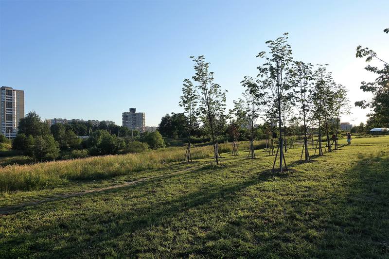Муринский парк Петербурга Муринский парк Петербурга