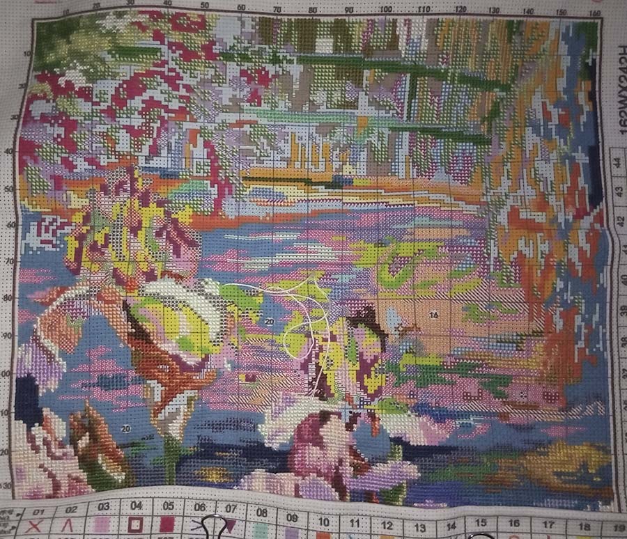 31090547.jpg