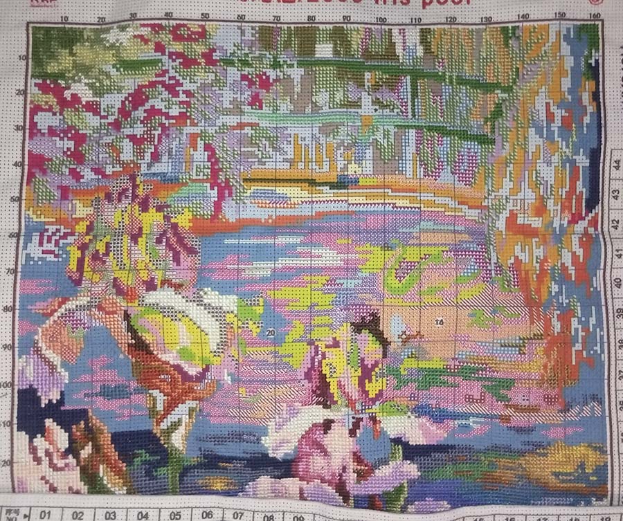 31090595.jpg