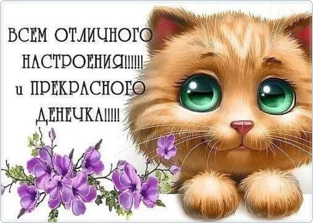 Tapтaлeтки & Ко