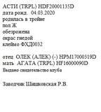 Асти анк Раиса