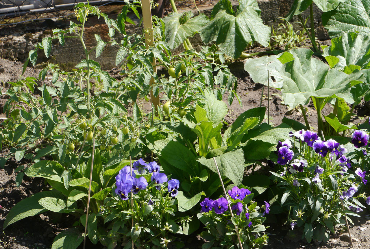 декор огород