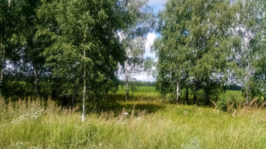 VFL.RU - ваш фотохостинг VFL.RU - ваш фотохостинг