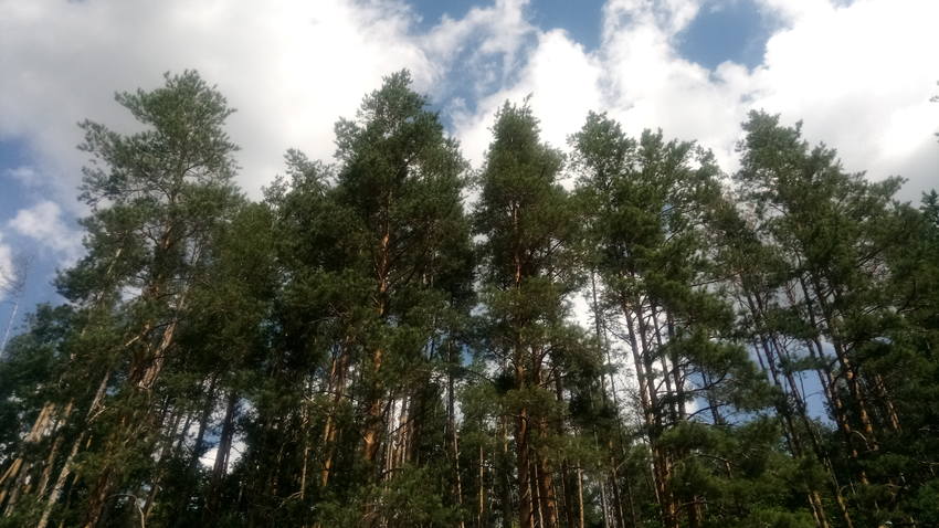 VFL.RU - ваш фотохостинг VFL.RU - ваш фотохостинг