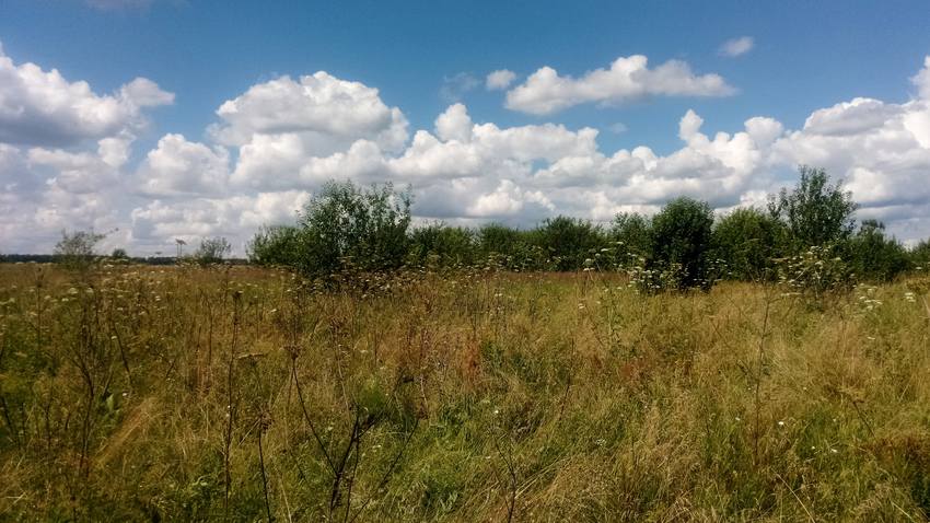 VFL.RU - ваш фотохостинг VFL.RU - ваш фотохостинг