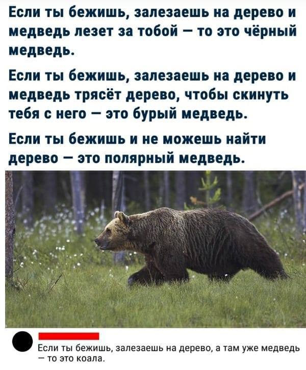 Юмор Юмор