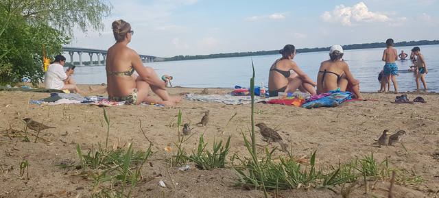 VFL.RU - ваш фотохостинг VFL.RU - ваш фотохостинг